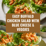 Buffalo Chicken Salad Recipe