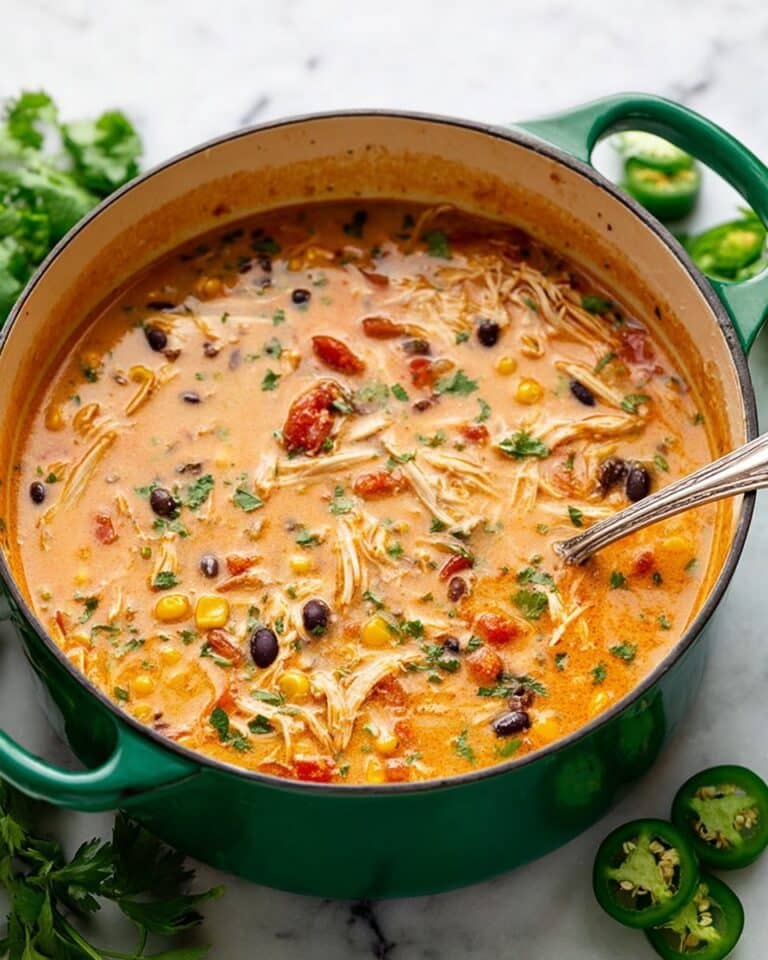 Chicken Enchilada Soup Recipe