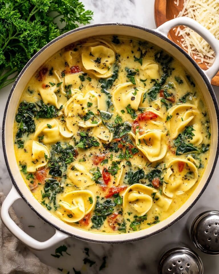 White Chicken Lasagna Soup Recipe