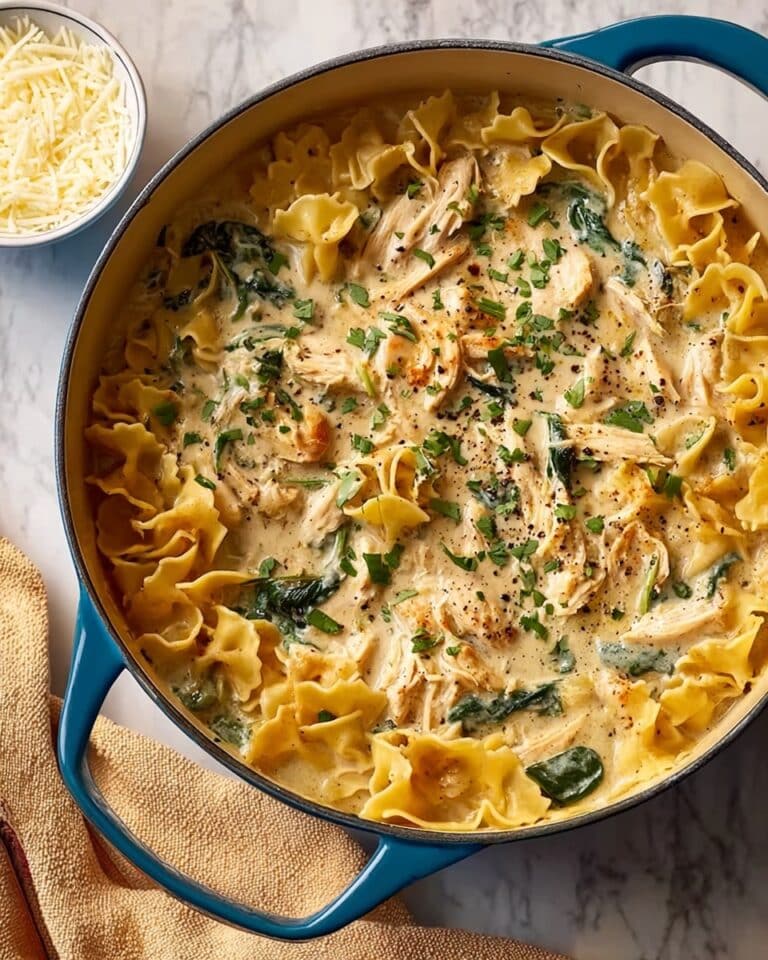 Best Chicken Lasagna Soup Recipe